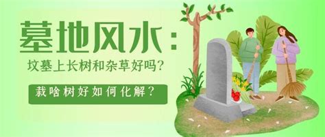 坟头长树|清明：坟墓上长树和杂草好吗？栽啥树好如何化解？